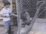 kid-teasing-monkey-shirt-pull-butthurt-1