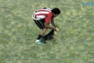 soccer-football-player-throws-dog-137151