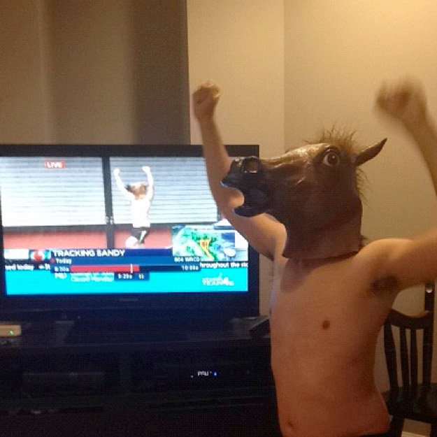 horse mask