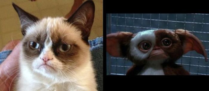 Funny Gizmo
